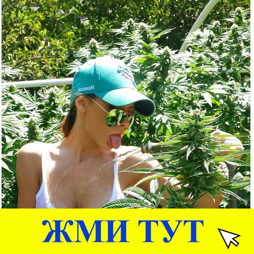Купить наркотики в Новокуйбышевске